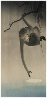 Monkey